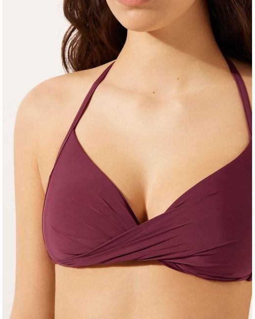 Calzedonia Purple Indonesia