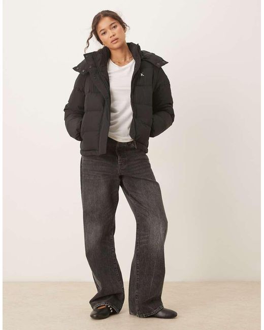 Calvin Klein Essentials in het Black