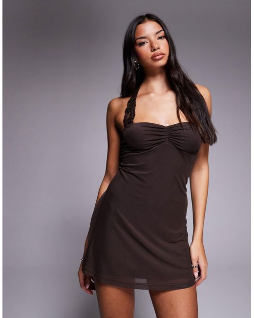 tiger mist brown mini dress TAWNY MINI DRESS