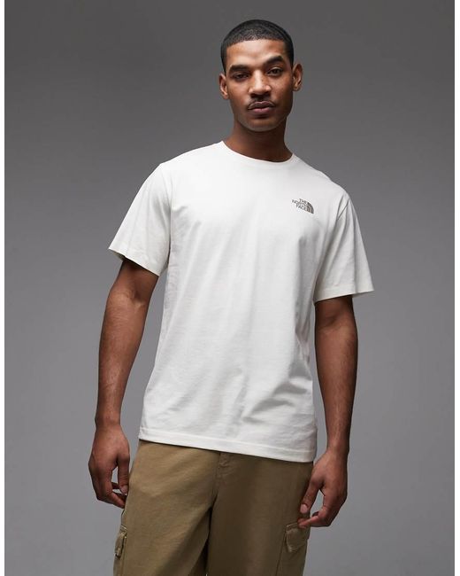 The North Face Gray Mountain Sketch Backprint T-Shirt for men