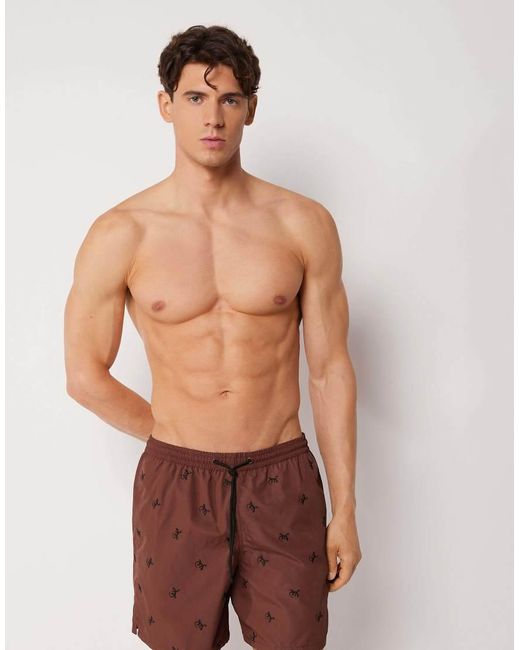 Calzedonia Purple Pattern Swim Boxer Formentera for men