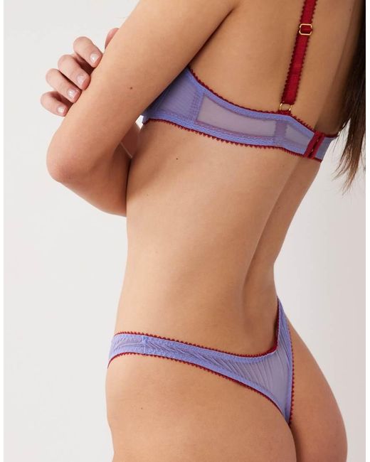 Dora Larsen Purple Hallie Tulle Thong