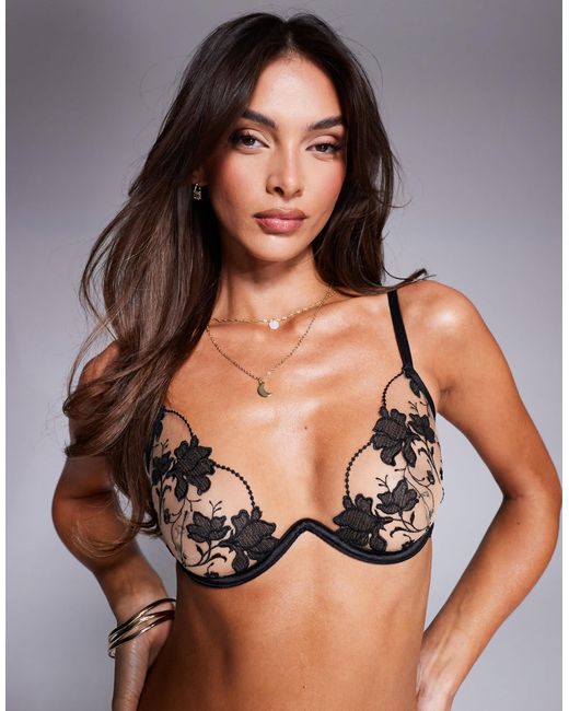 Bluebella Brown Yvette Bra