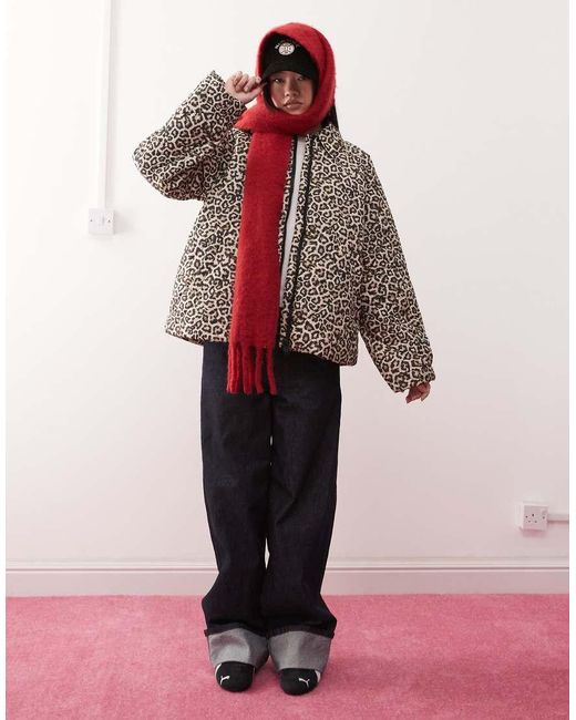 Chaqueta Guateada Con Estampado De Leopardo Y Cremallera De -Marrón Noisy May de color Brown