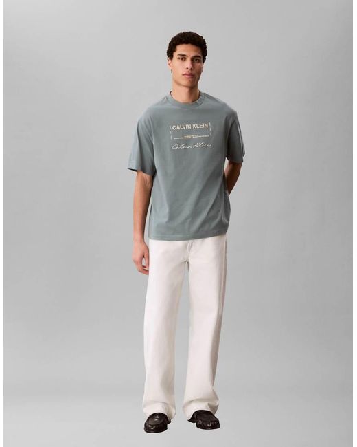 Calvin Klein Gray Relaxed Fit Graphic T-Shirt for men