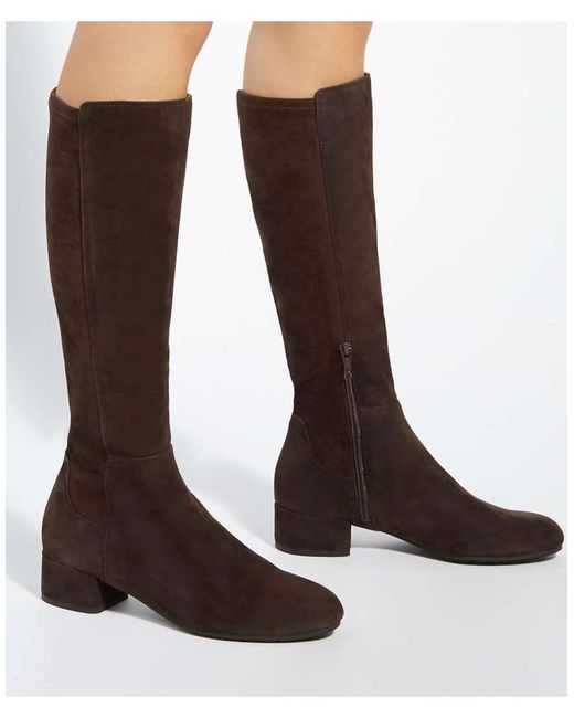 Dune Brown Wide Fit Wf Tayla Knee High Boots