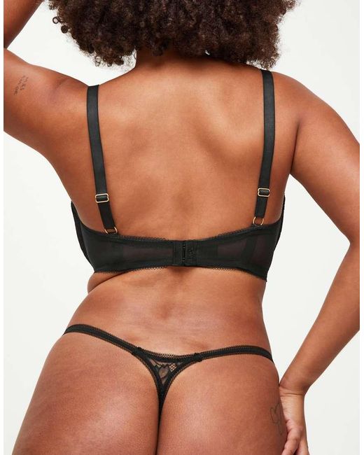 KBX Black Knickerbox Alice Padded Plunge Bra