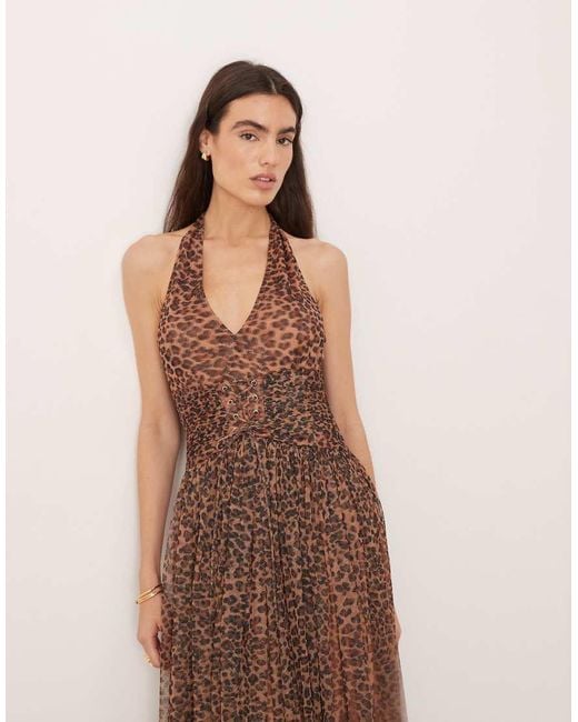 LACE & BEADS Brown Tulle Halter Lace Up Corset Detail Maxi Dress
