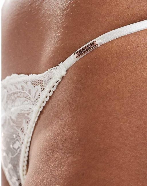 DORINA Brown Origins Lace Lingerie Thong
