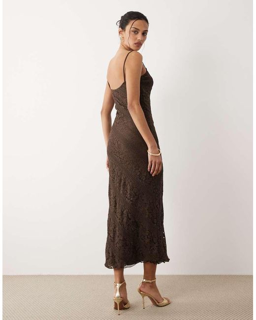 Mango Brown Lace Midi Dress