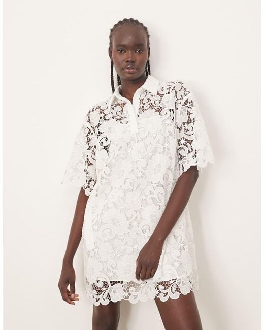 ARRANGE Natural Lace Polo T-shirt Mini Dress