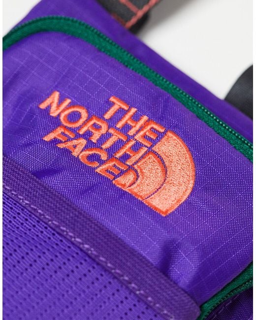 The North Face Purple Borealis Bottle Holder