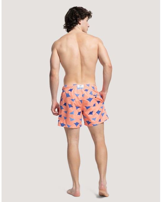 Apreslife Pink Manta Swim Shorts for men