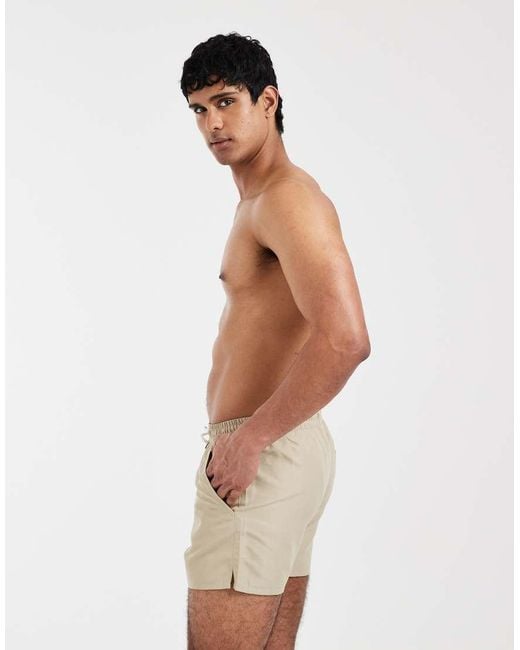 Aray Green Swim Shorts for men