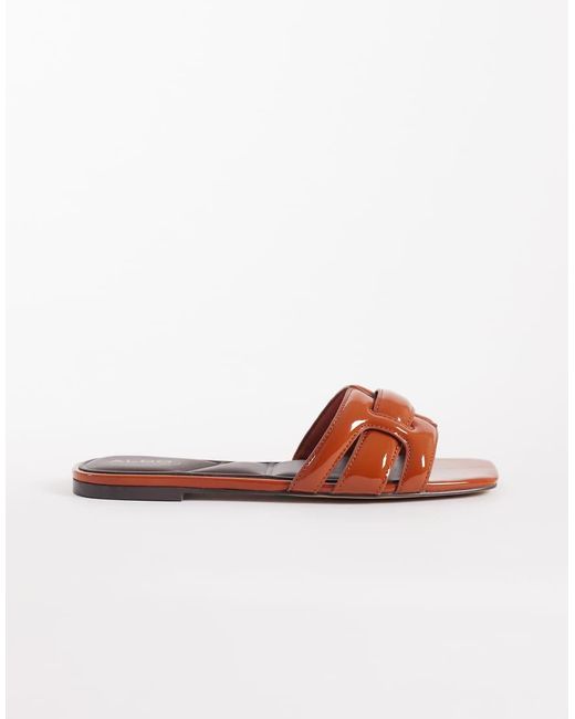ALDO Brown Elenaria Flat Sandal