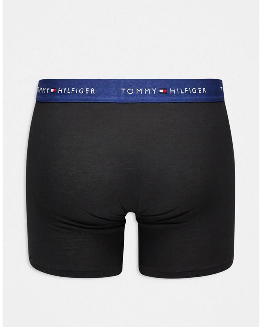 Essentials - lot Tommy Hilfiger pour homme en coloris Black