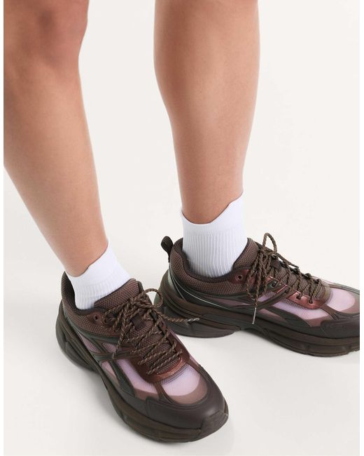 Baskets Oysho en coloris Brown
