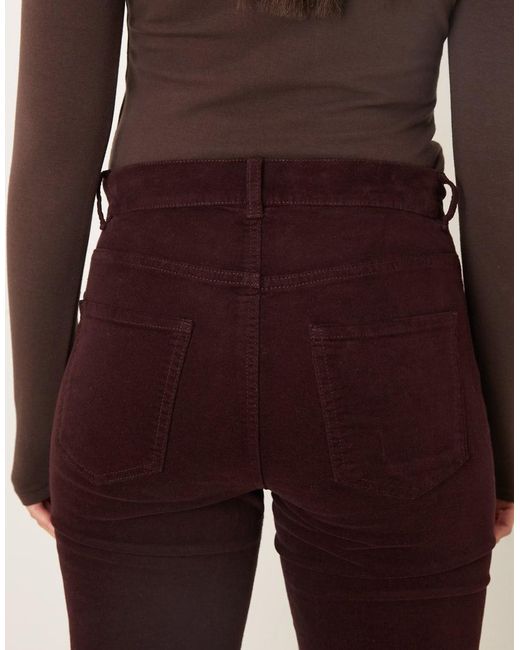 Mango Multicolor Violetav 100% Cotton Flared Jean