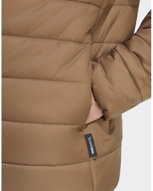 Adidas Originals Natural Terrex Multi Essentials Insulated Jacket for men