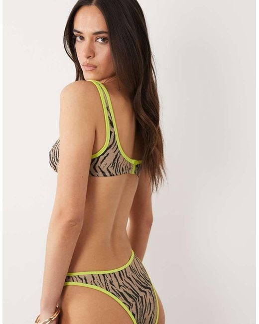 ASOS Brown Zaria Ibiza High Leg Brazilian Bikini Bottom With Contrast
