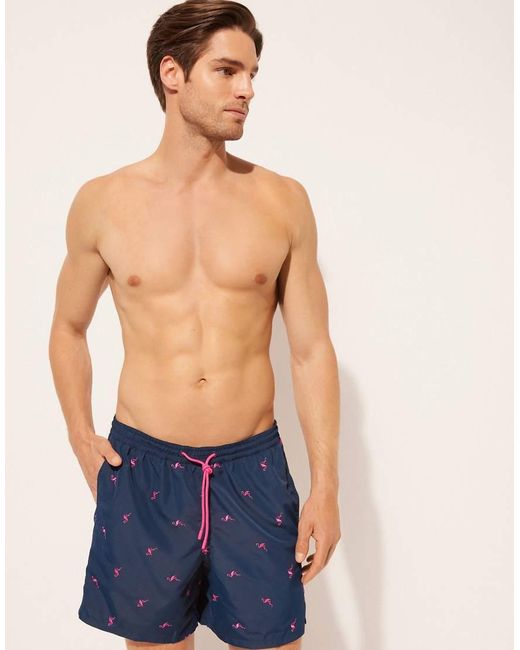 Calzedonia Blue Pattern Swim Boxer Formentera for men