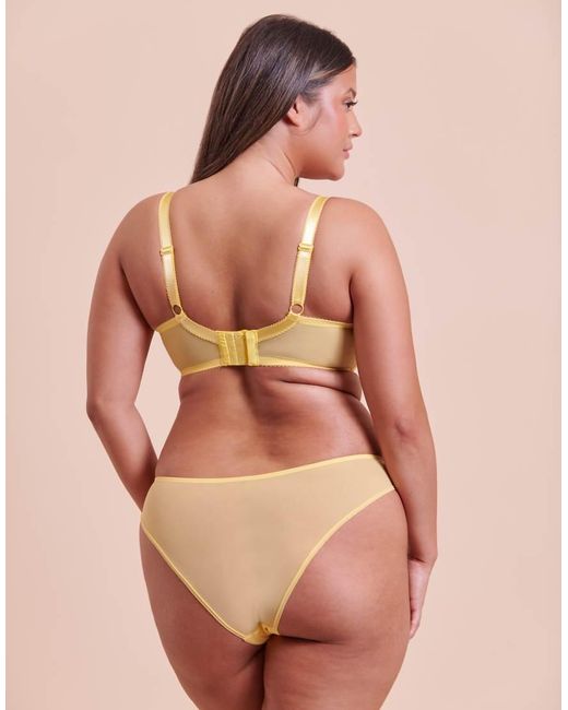 Curvy Kate Brown Limoncello Balcony Bra Fuller Bust