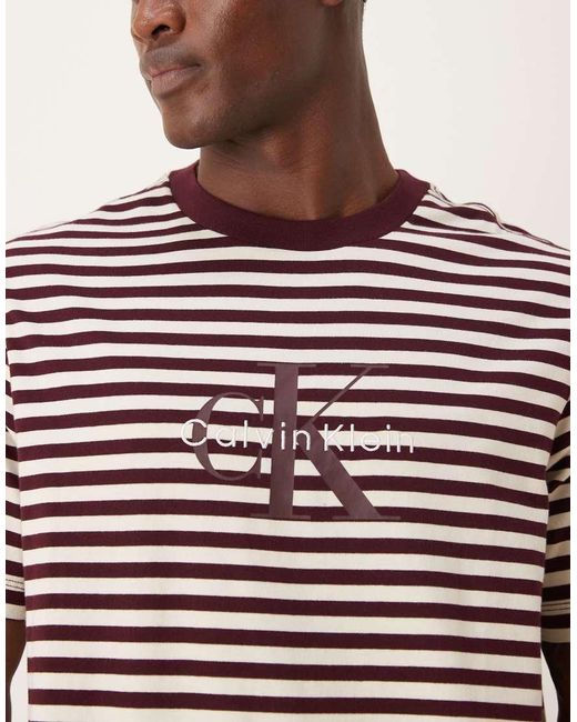Calvin Klein Brown Calvin Klein Stripe Monologo T-Shirt for men