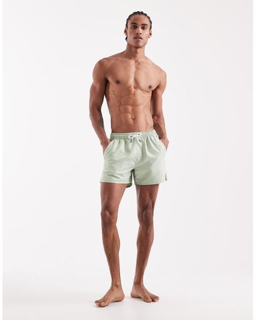 Aray Green Swim Shorts for men