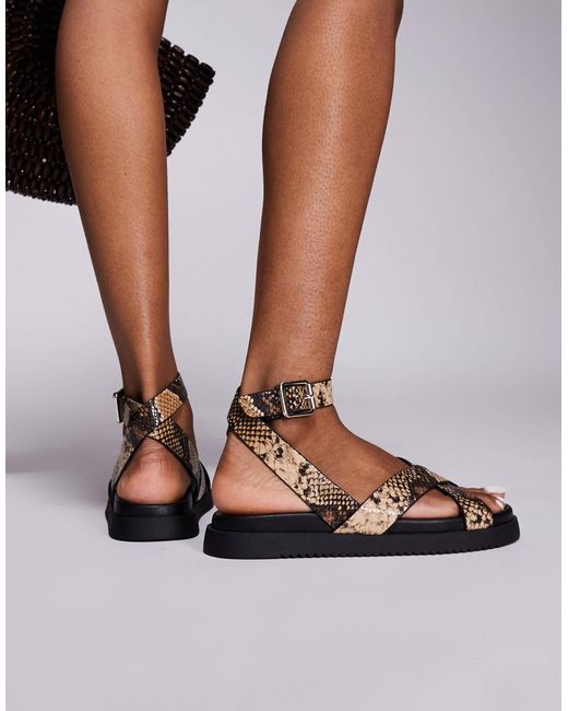 Steve Madden Brown My Bestie Sandals With Strap Buckle