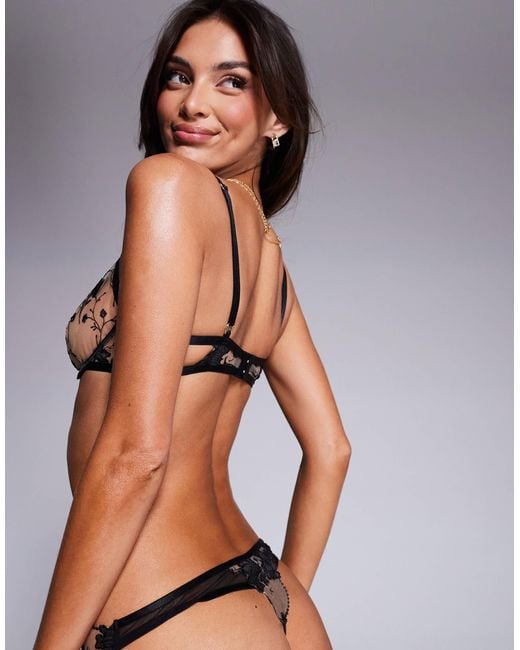 Bluebella Brown Yvette Bra