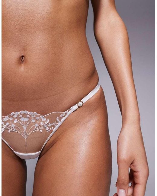 Bluebella Brown Marisa Bridal Brief
