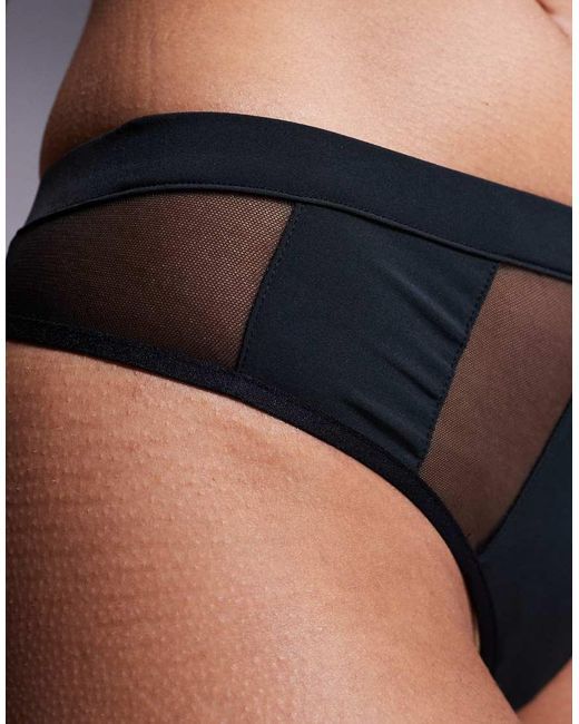 Bluebella Gray Orla Sheer Mesh Brief