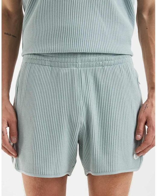 Adidas Originals Blue Waffle Textured Sprinter Shorts for men