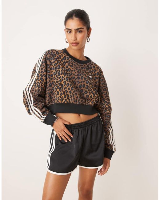 Adidas Originals Brown Crew Neck Sweatshirt