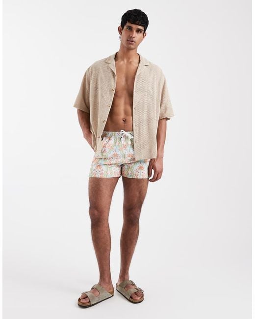 Aray Natural Palm Print Swim Shorts for men