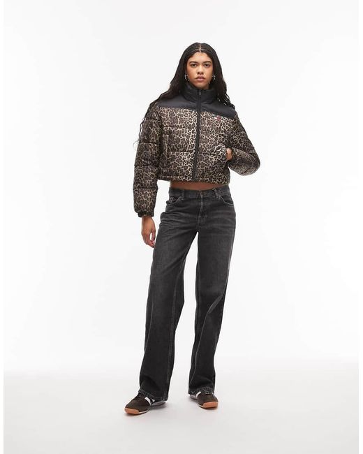 Tommy Hilfiger Black Cropped Puffer Jacket