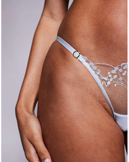 Bluebella Brown Bella Marisa Embroidered Sheer Briefs