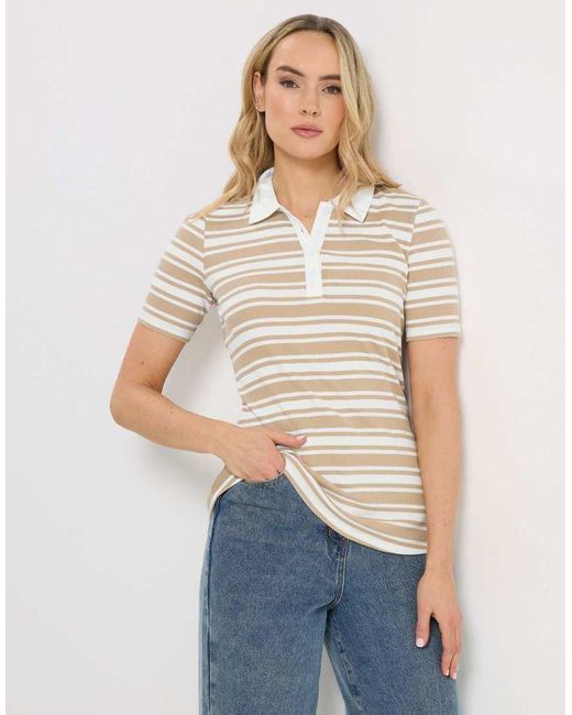 Long Tall Sally White Stripe Polo Top