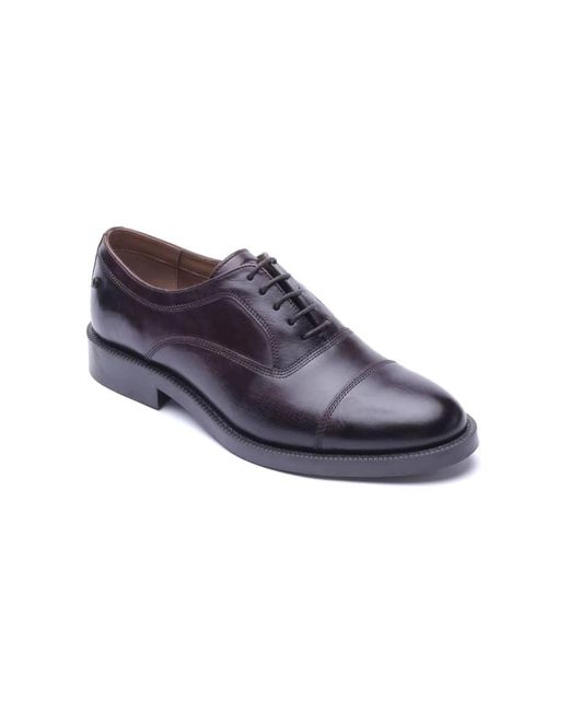 Base London Blue Roma Toe Cap Shoe for men