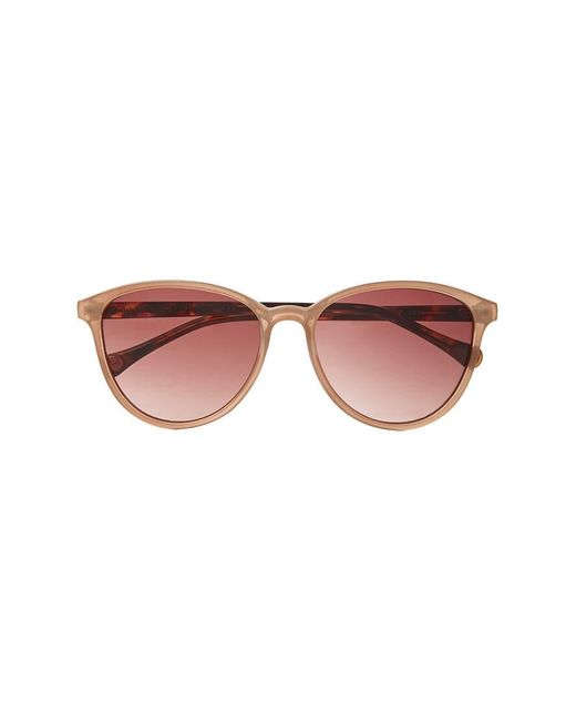 Ted Baker Brown Tierney Sunglasses