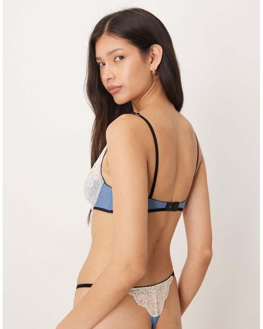 Wild Lovers Brown Lilith Non Padded Underwired Bra With Lace Detail