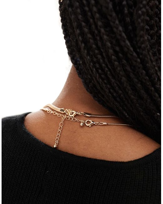 ASOS Brown Pack Of 2 Necklaces With Snake Chain Design