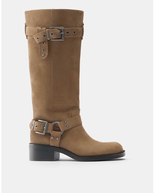 Bottes style motard - sable Pull&Bear en coloris Brown