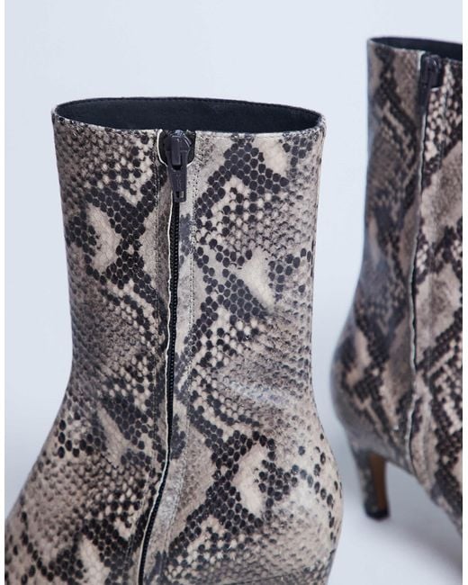 TOPSHOP Gray – neeve – ankle-boots aus hochwertigem leder mit schlangenprint und hohem absatz