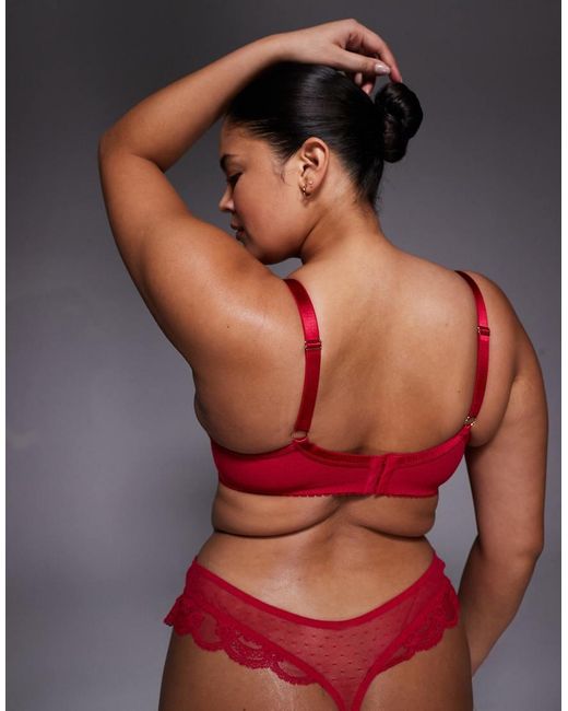 ASOS Asos Design Curve Lola Lace Underwired Bra