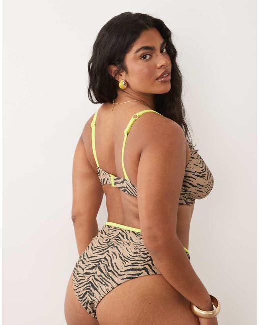 ASOS Brown Asos Design Curve Zaria High Leg High Waist Bikini Bottom With Contrast
