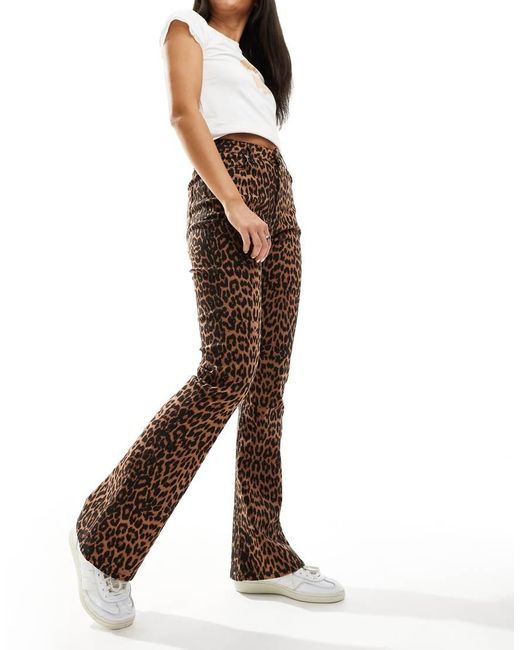 Miss Selfridge Brown Leopard Flare Jean