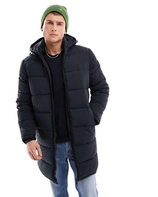 Chaqueta Acolchada Larga Negra Cooper De SELECTED de hombre de color Blue