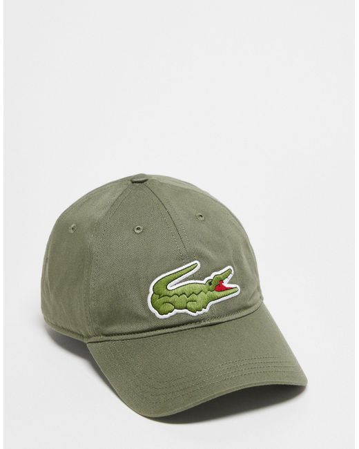 Cappellino verde con logo di Lacoste in Green