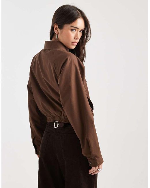 Tommy Hilfiger Brown Round Collar Jacket